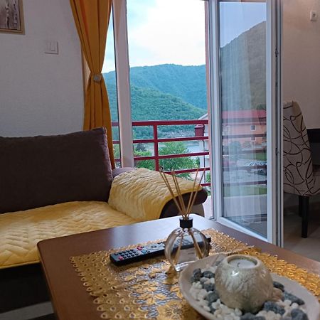 Apartmani Lena Pluzine Luaran gambar
