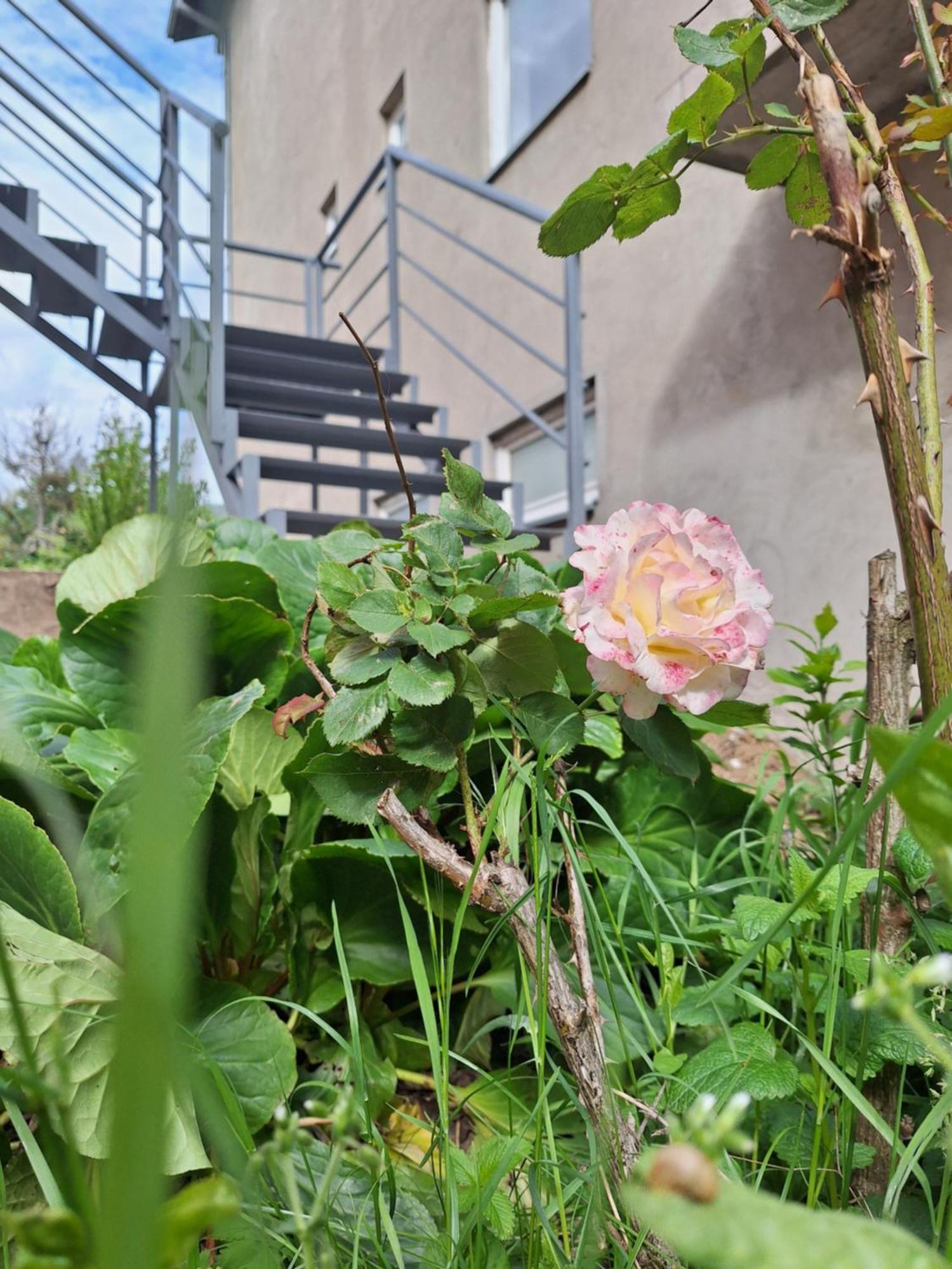 Apartmani Lena Pluzine Luaran gambar