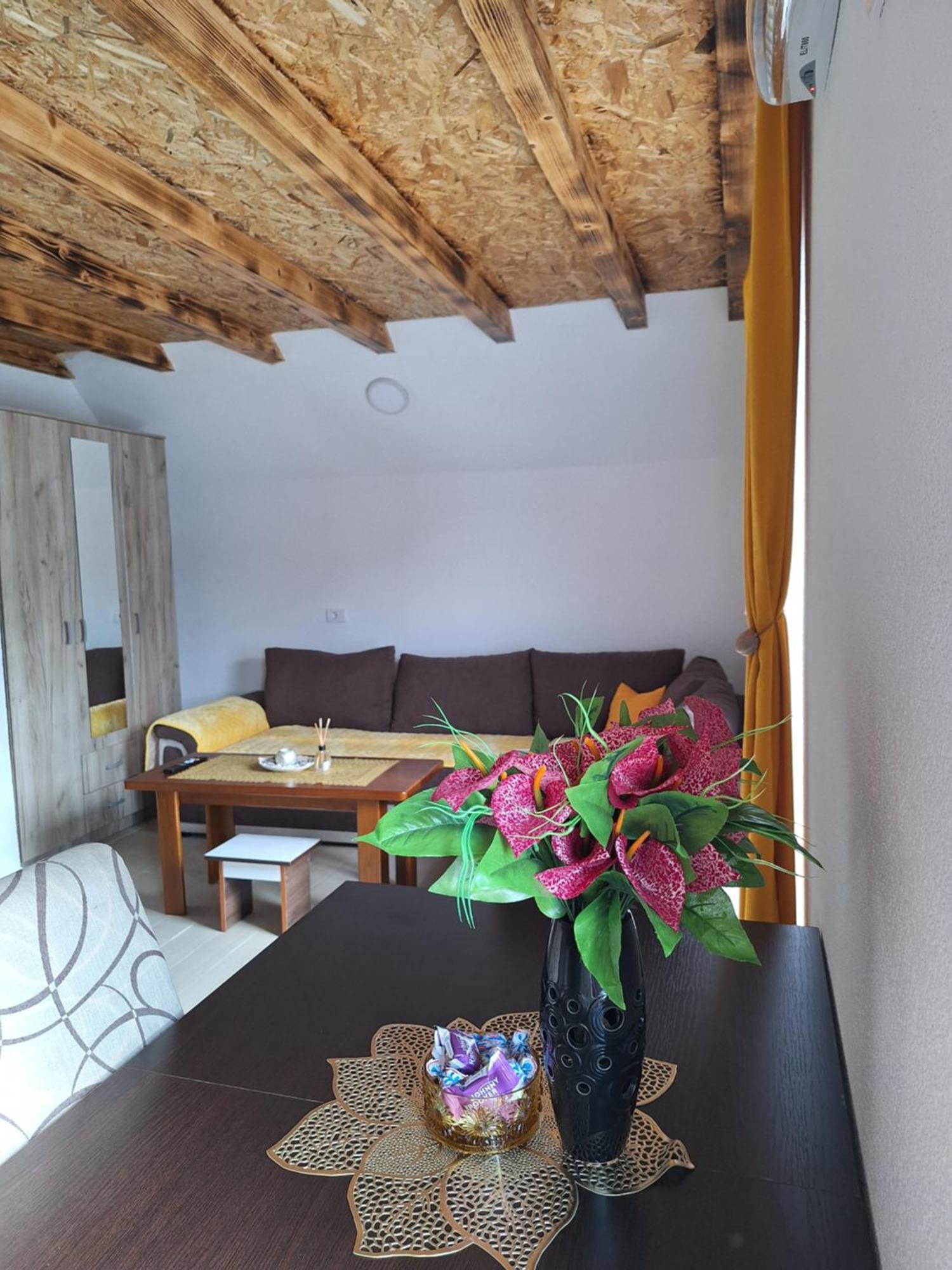 Apartmani Lena Pluzine Luaran gambar