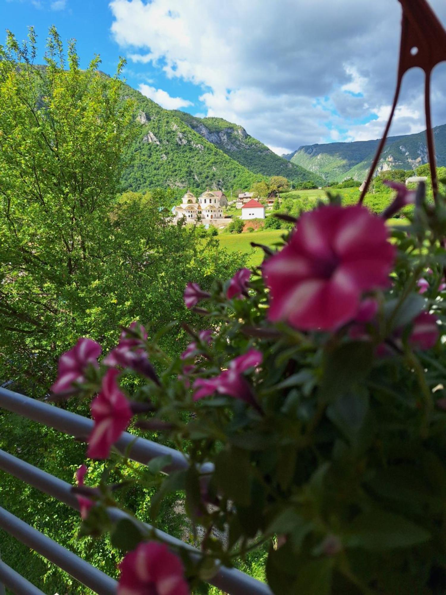 Apartmani Lena Pluzine Luaran gambar